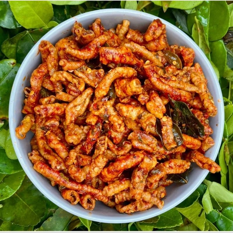 

USUS AYAM PEDAS DAUN JERUK