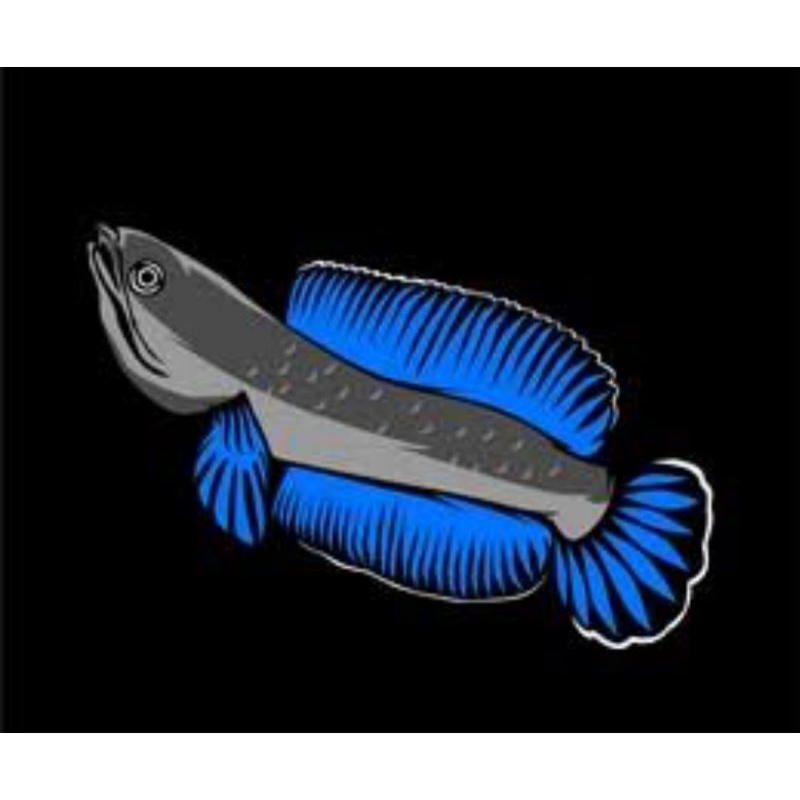 Sticker Chana Andrao