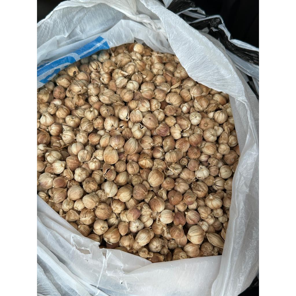 

Kapulaga Putih / White Cardamom / Kapulaga Kering (1kg)