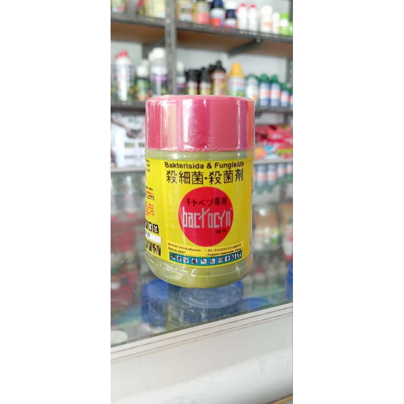 BACTOCYN 100ML Bakterisida & Fungisida
