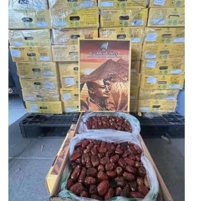 

Kurma GoldenValley kemasan 10 kg (1dus termurah produksi November 2024) Terlaris dan Termurah