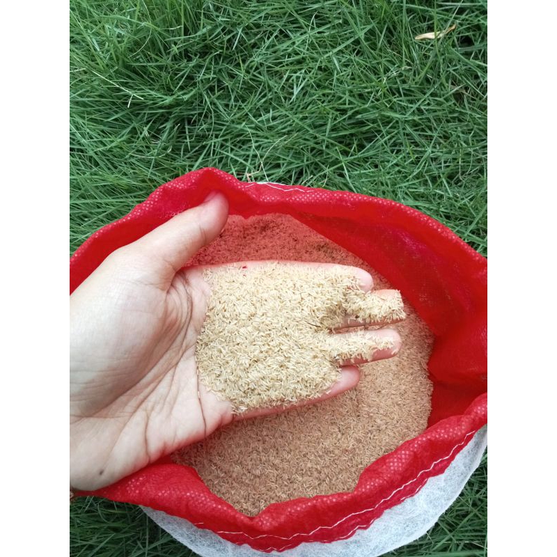 TELUR JANGKRIK MADU KUNYIT 400 GRAM