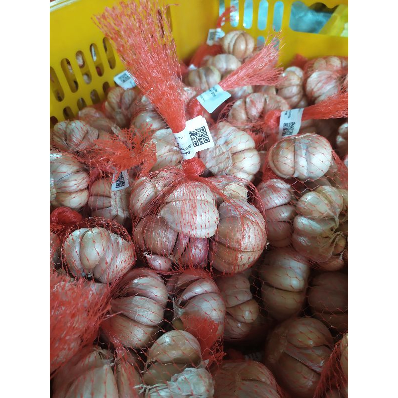 

bawang putih dan bawang merah bagus