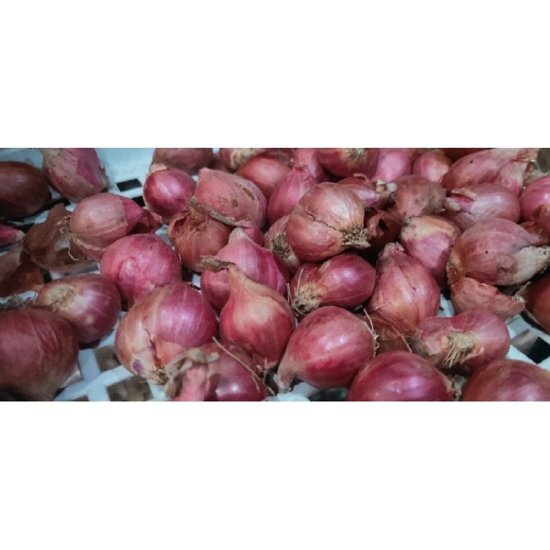

BAWANG MERAH 250 gr 500gr 1000gr || BAMER KUALITAS BAGUS