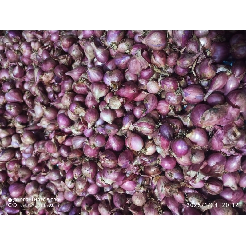 

Bawang merah kering 1 kg