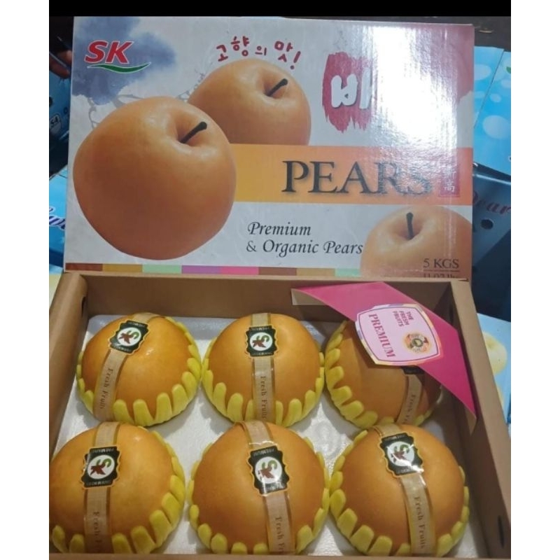 

PEAR SINGO JUMBO 5kg/gift box