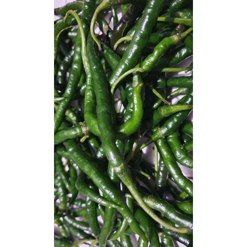 

Cabe Keriting Hijau | Cabai Keriting Hijau Fresh 250g-1kg [instan]