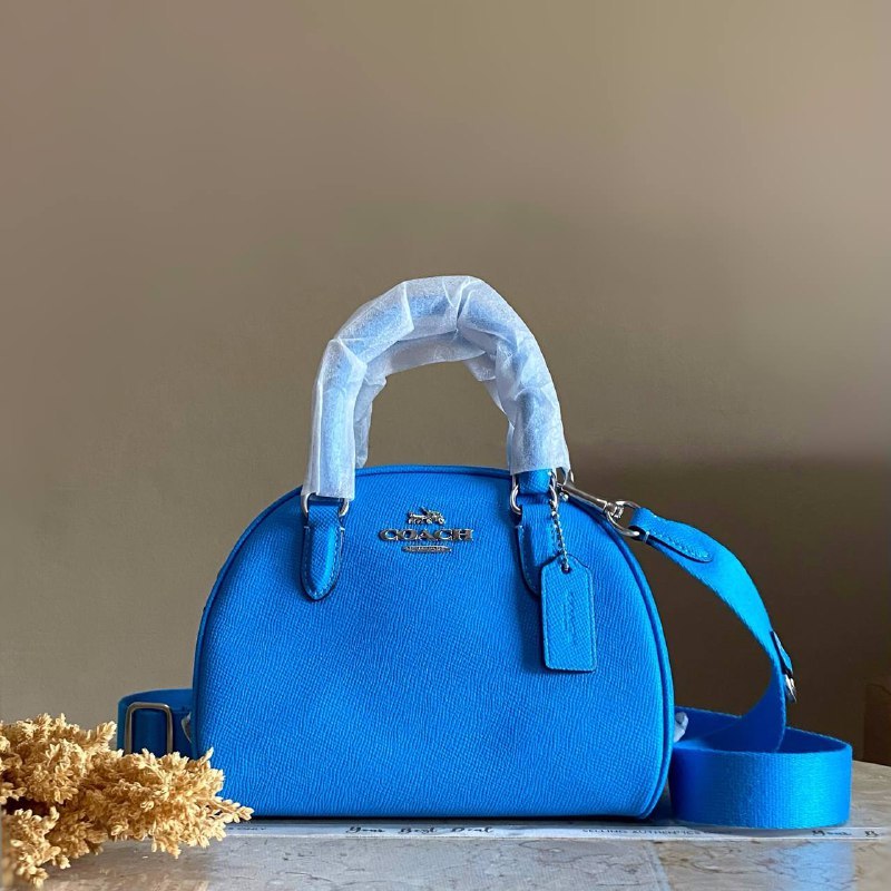 Coach Sydney Satchel