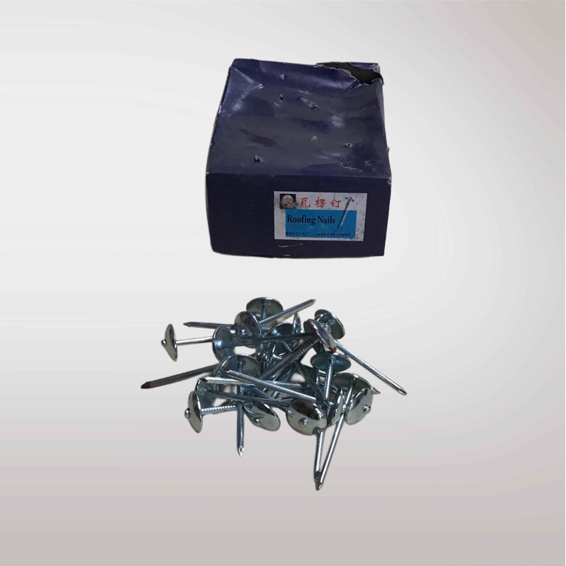 Paku Payung/Paku Seng