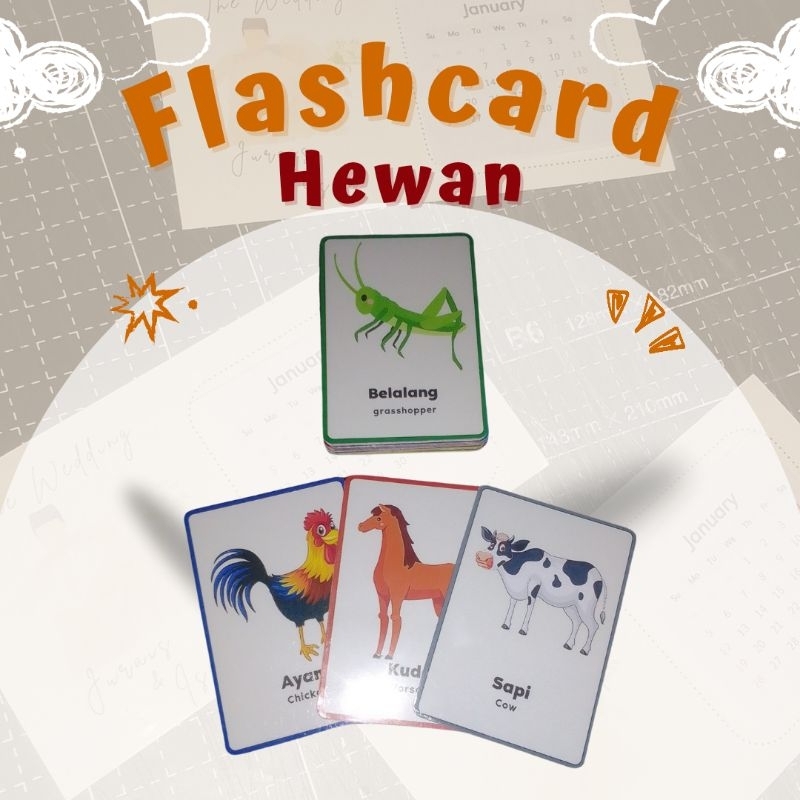 

Flashcard Hewan