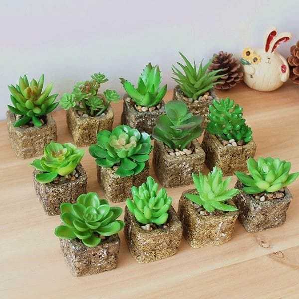 Kaktus Buah / Artificial Kaktus Mini / Tanaman Hias / Kaktus Buah Mini