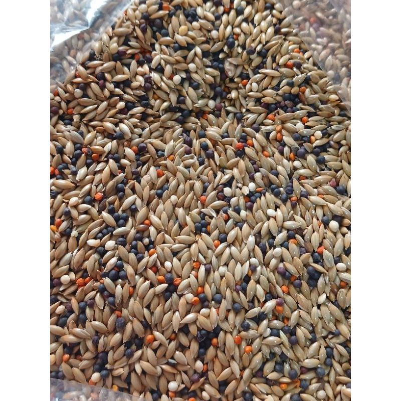 Pakan Kenari Campur Kiloan