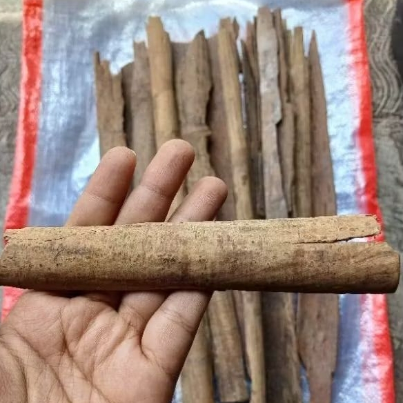 

Kulit kayu masoyi misoyi 1kg