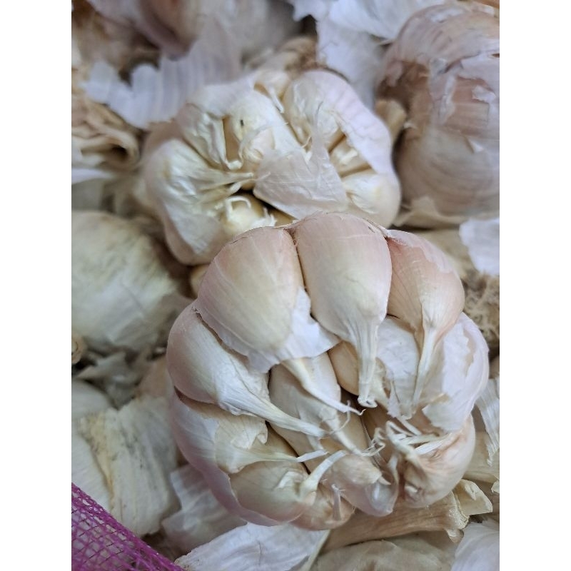 

Bawang putih honan fresh 500gr