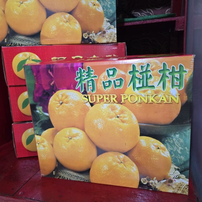 Buah Jeruk PONKAM 1dus 40buah berat kotor8kg