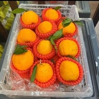 

Buah jeruk ponkam Taiwan jumbo d jamin manis super premium keranjang -+4 kg