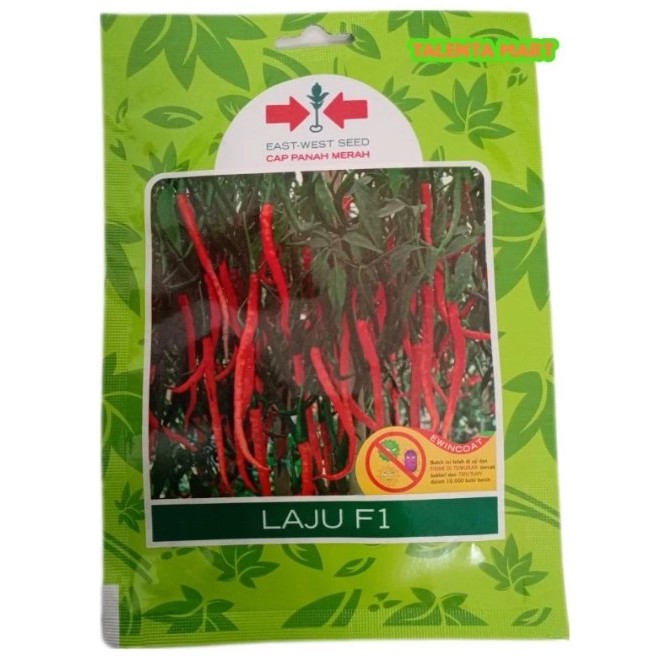 

150 BUTIR BENIH CABAI/CABE KERITING LAJU F1