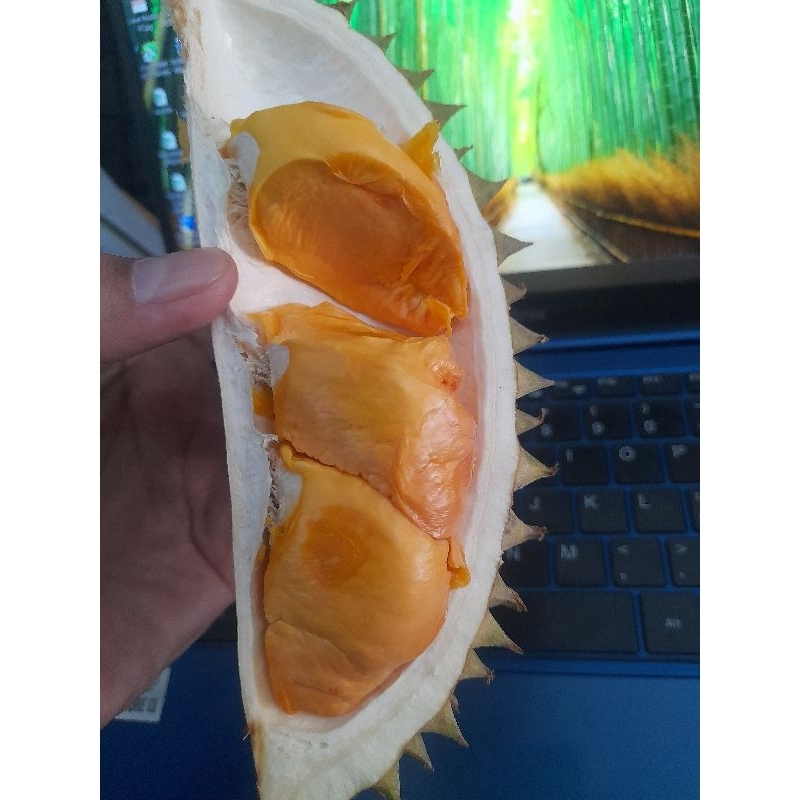

Durian simas