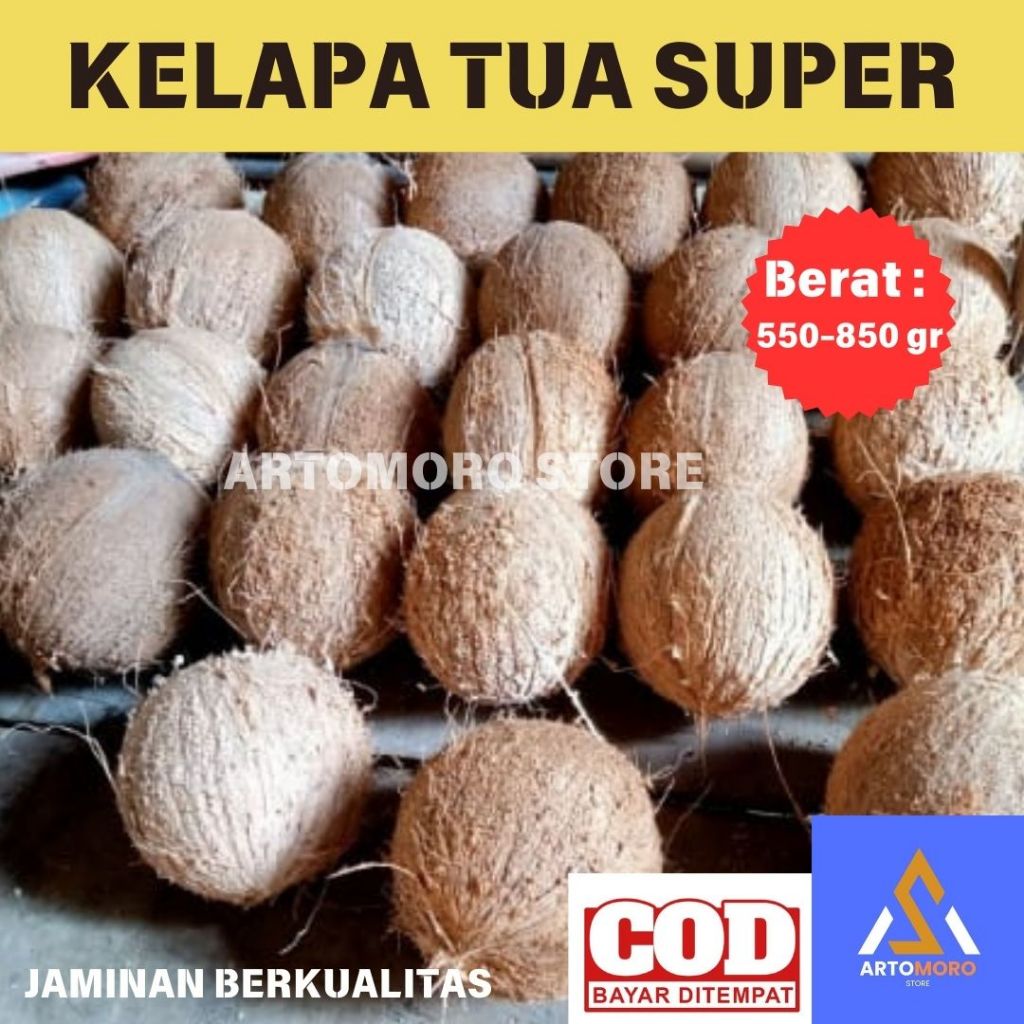 

KELAPA | KELAPA SUDAH KUPAS | KELAPA TUA | KELAPA SUPER