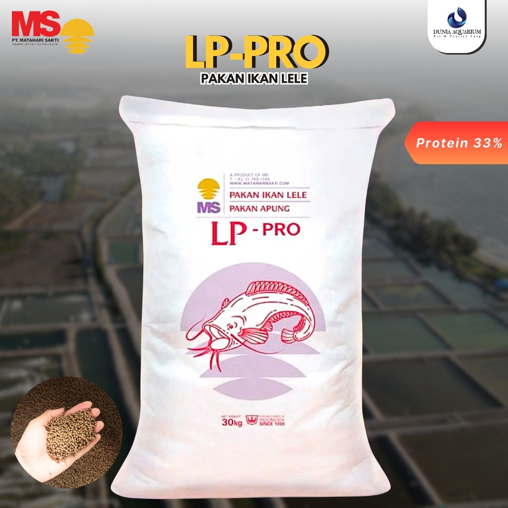 [PAKAN IKAN LELE] MS LP Pro High Nutrition LP 0 LP 1 LP 2 LP 3 - Pakan Ikan Lele LP Pro Matahari Sak