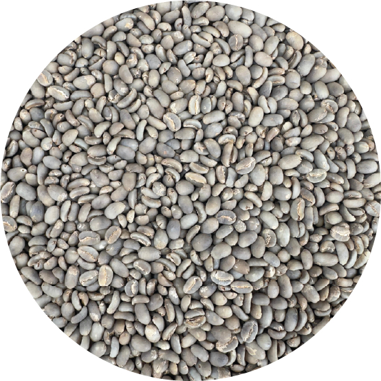 Biji Kopi | Green Bean Single-Origin 100% Arabika Gayo, Grade 1 (Premium), Semi-Wash, 1 kg