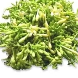 

BUNGA PEPAYA SEGAR 500GRM BONUS DAUN