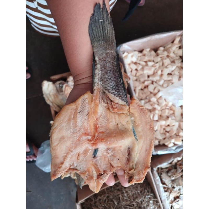 

gabus asin ukuran besar250gr