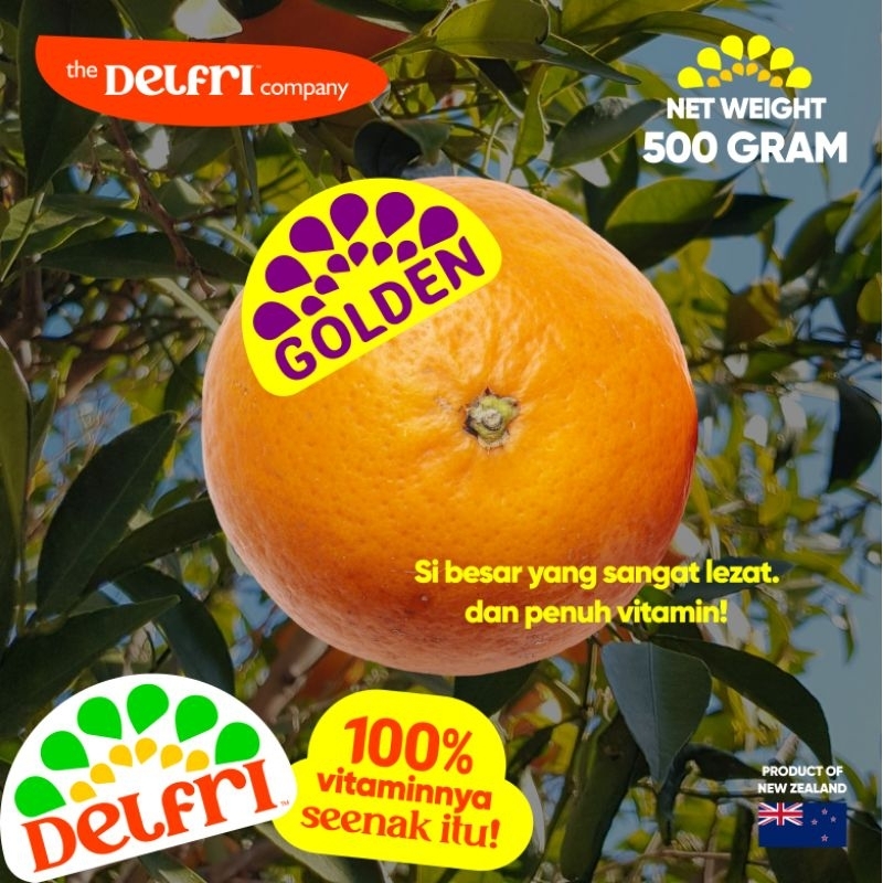 

Delfri™ Honey Mandarin Golden - 500 gram | Jeruk Mandarin Madu | Jeruk Delfri