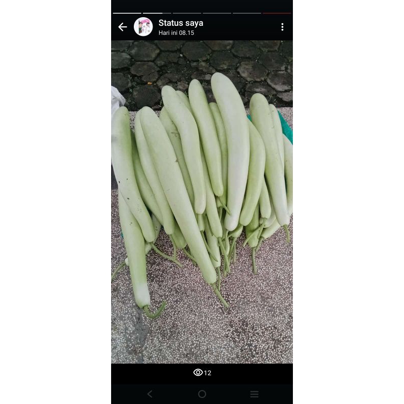 

labu air untuk mencegah kolestrol,menurunkan kadar gula darah/diabetes,menurunkan berat badan