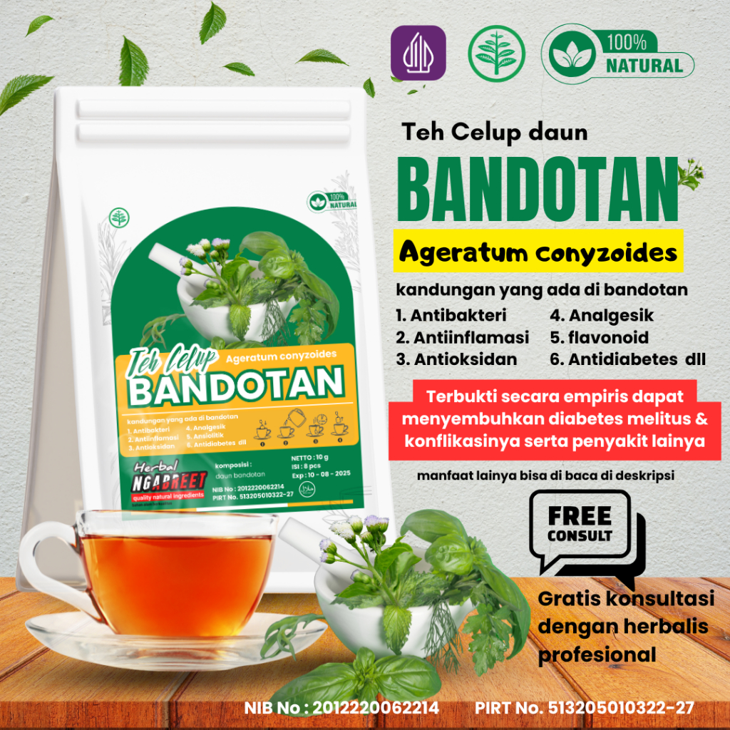 

Teh Celup Bandotan ( diabetes melitus gula darah tinggi sembuh tanpa obat kimia)