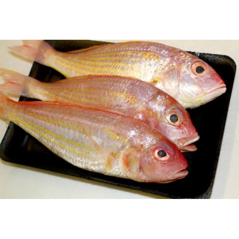 

Ikan Jangki Merah Segar 500gr