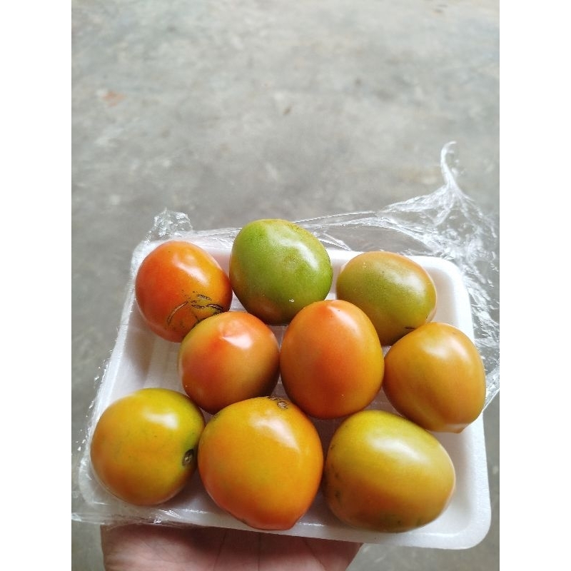 

Tomat Segar 500Gram Pilihan Terbaik