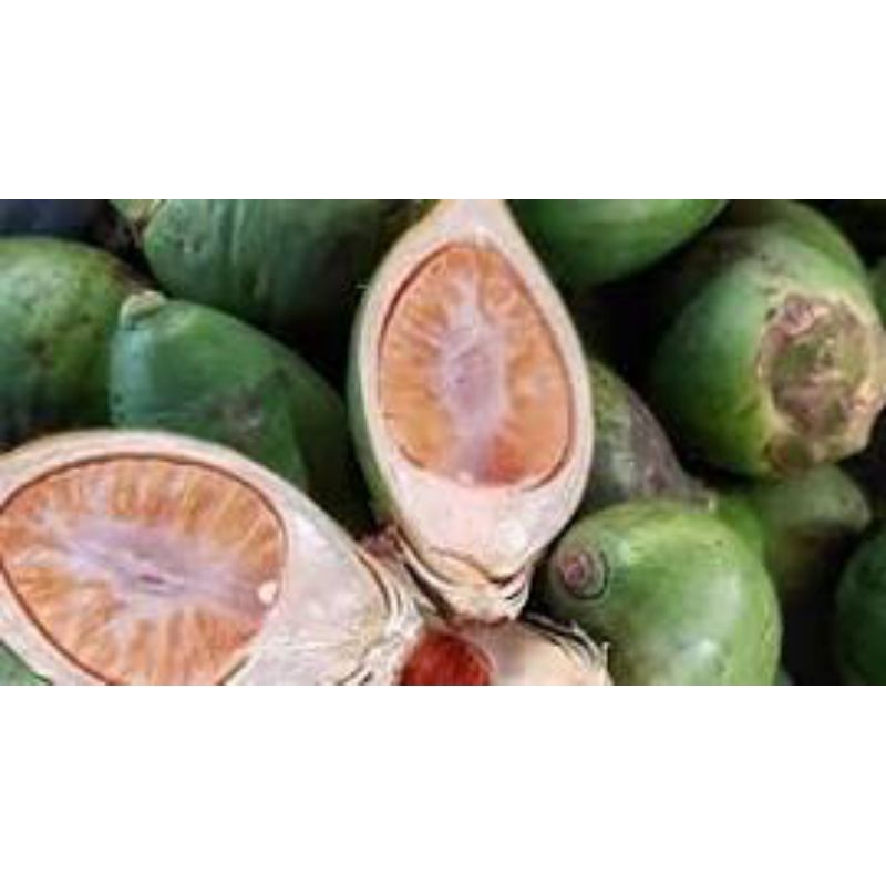 

Buah Pinang Muda