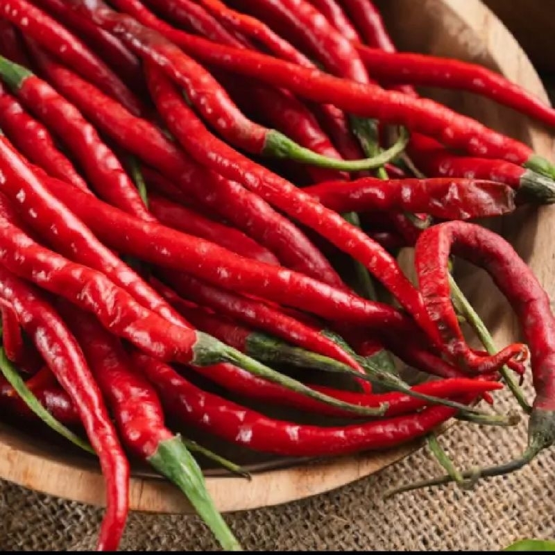 

100G CABAI CABE LOMBOK MERAH KERITING KRITING