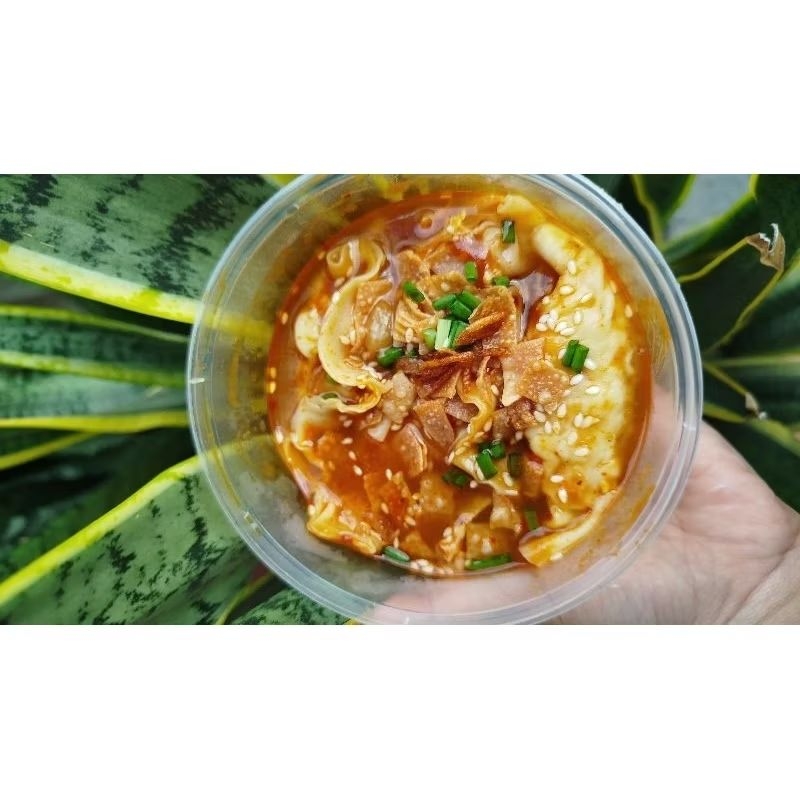 

WONTON ayam frozen isi 5 (HALAL)