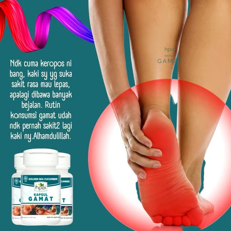 GAMAT KAPSUL HNI