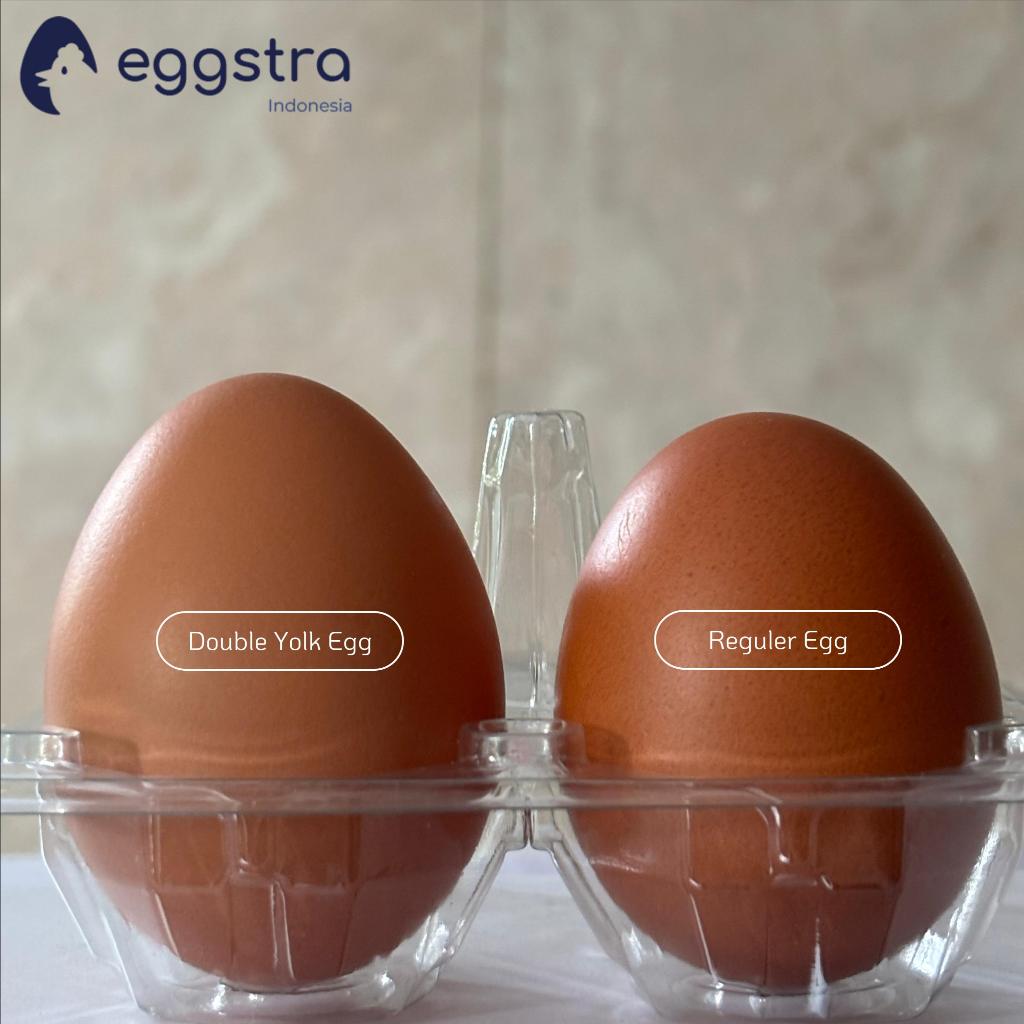 

Eggstra Telur Ayam Negeri Double Yolk/Jumbo Egg 15 Butir