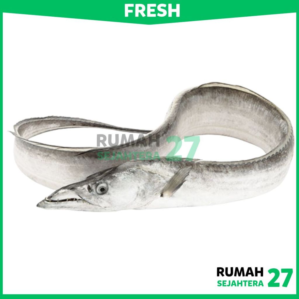 

KIRIM INSTANT DEPOK Ikan Layur Fresh Frozen Beku 1 Kg