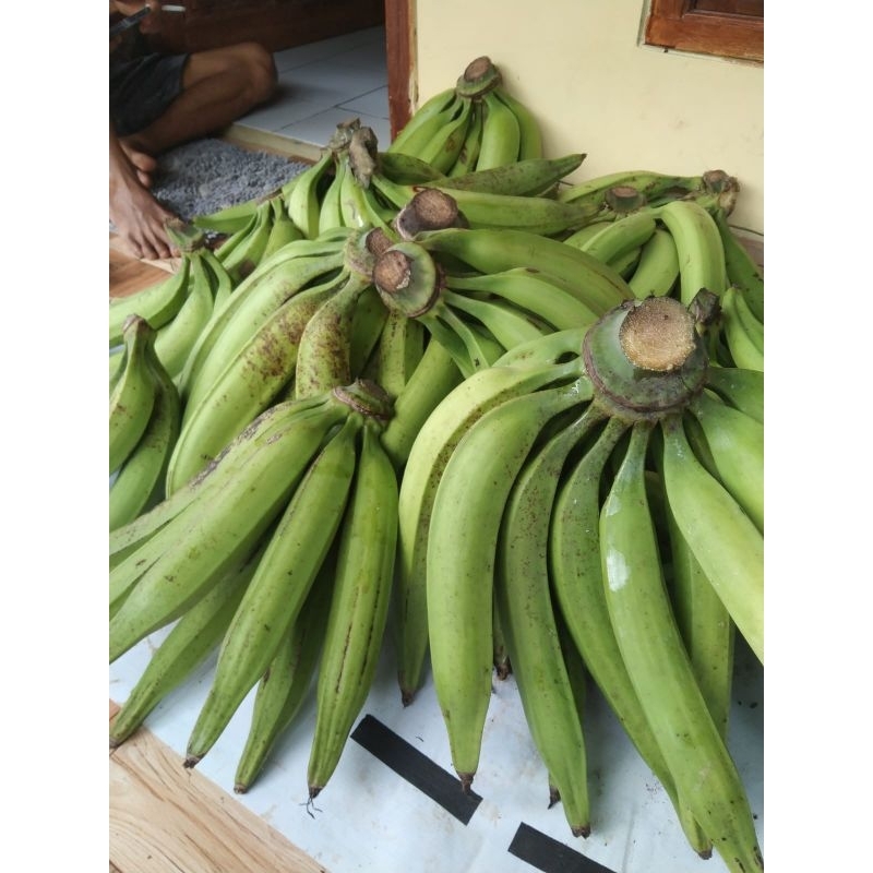 

Pisang Tanduk Asli Muria 3 biji gratis 1 biji