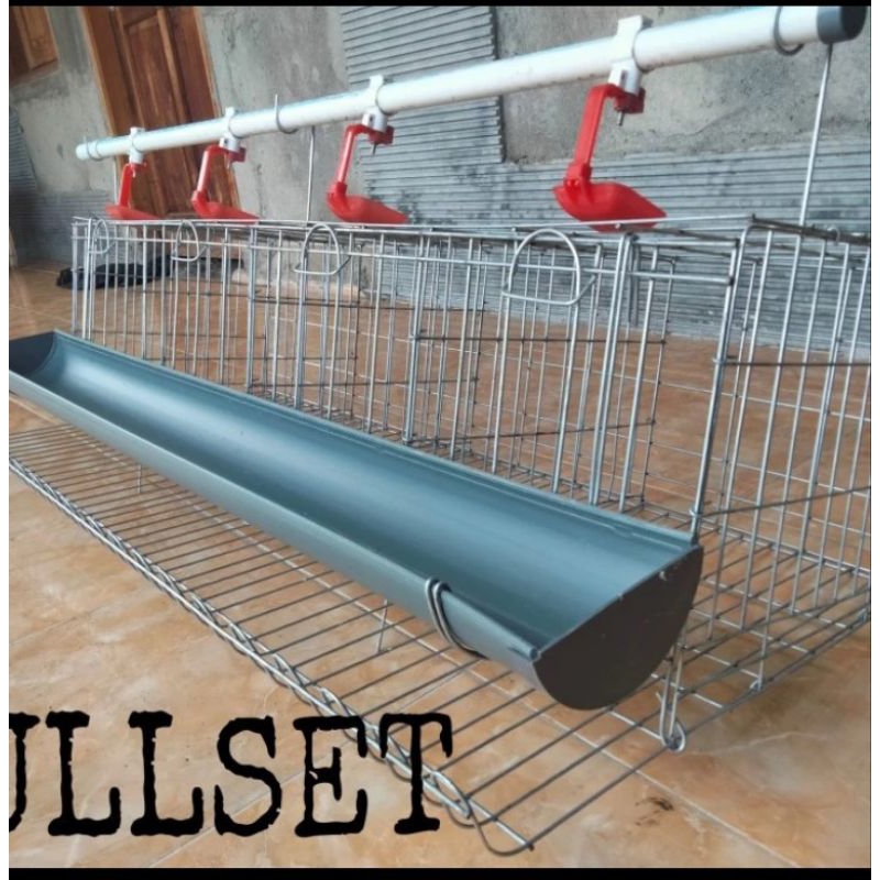 Kandang ayam petelur pintu 4