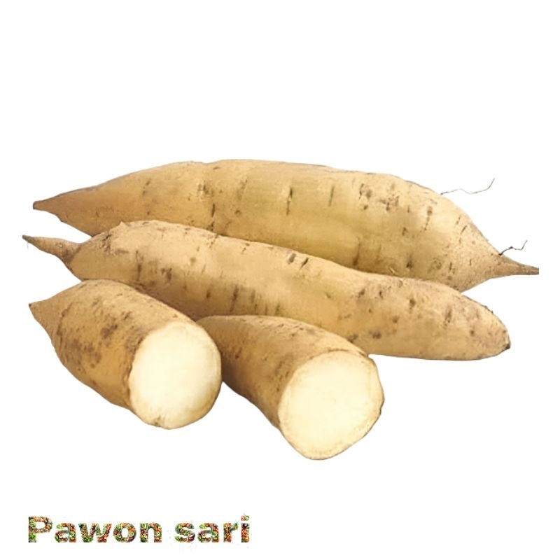 ubi jalar putih