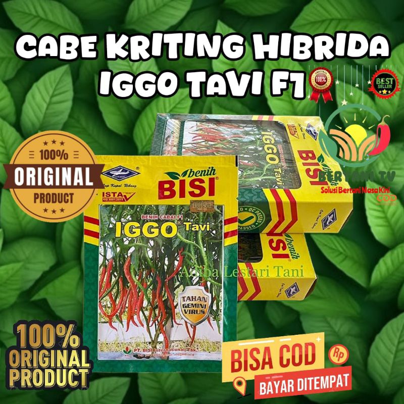 Benih Cabai F1 IGGO TAVI 10 GR, Cabai merah hibrida iggo tavi f1