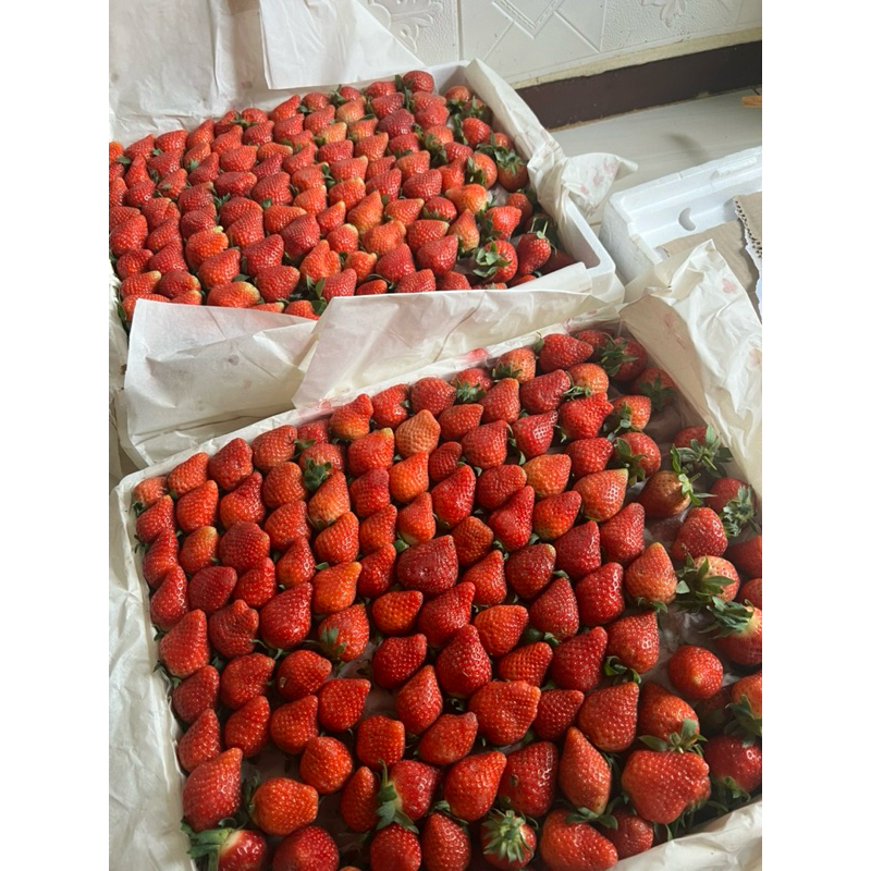 

STRAWBERRY FRESH