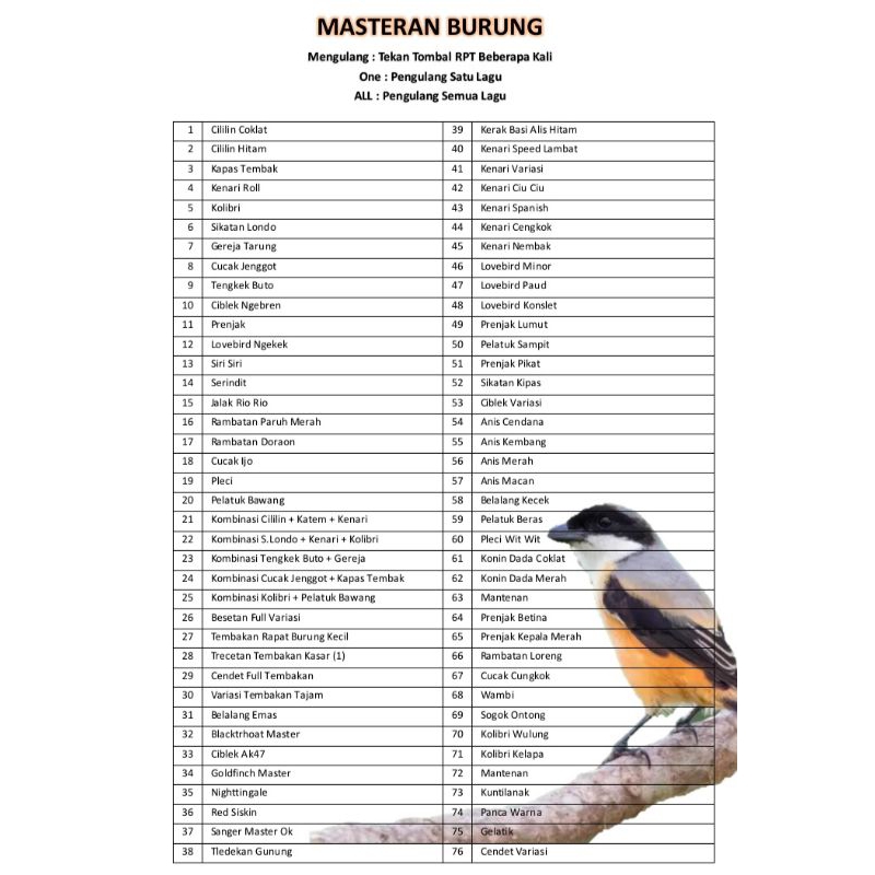 MEMORY MASTERAN BURUNG BLACK SONIC