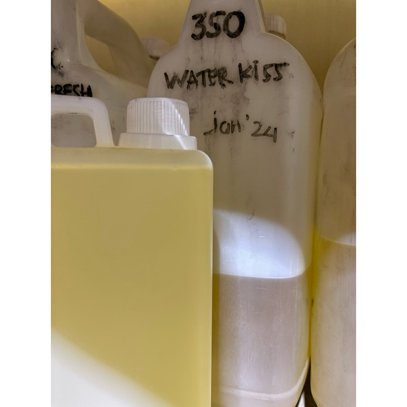 bibit parfum laundry water kiss 1L murni