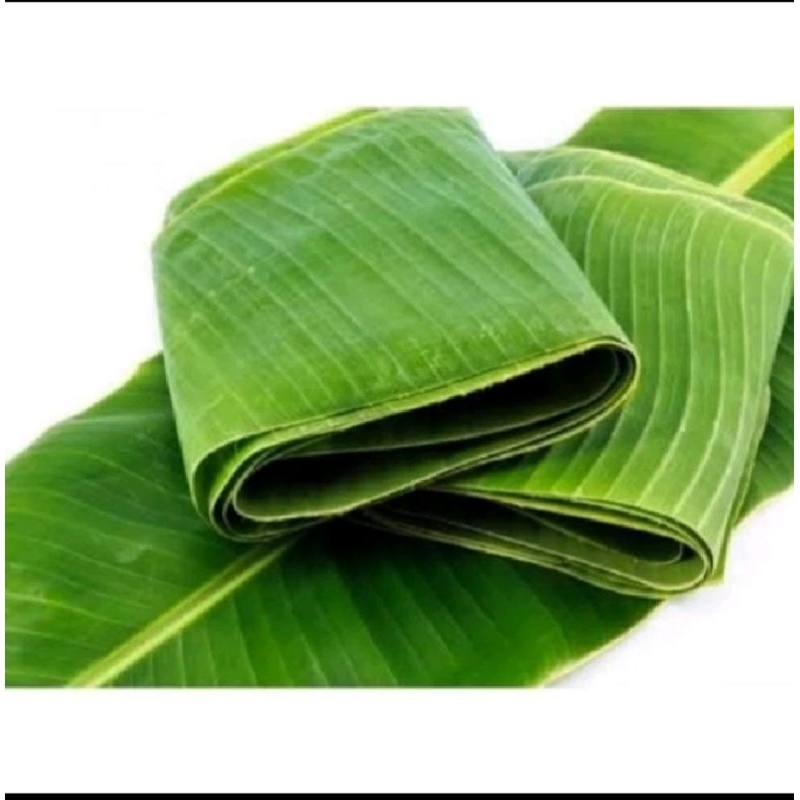

daun pisang fress 500gram