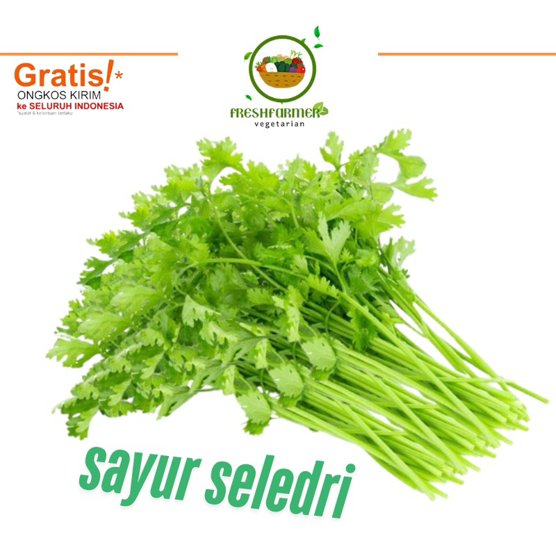 

daun seledri promo