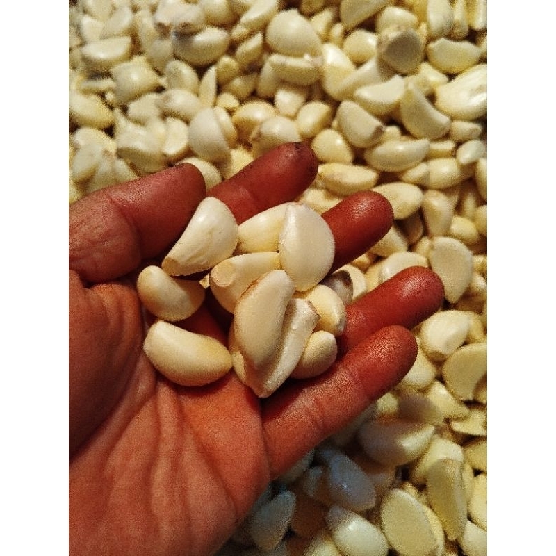 

jahe putih kupas 1 kg