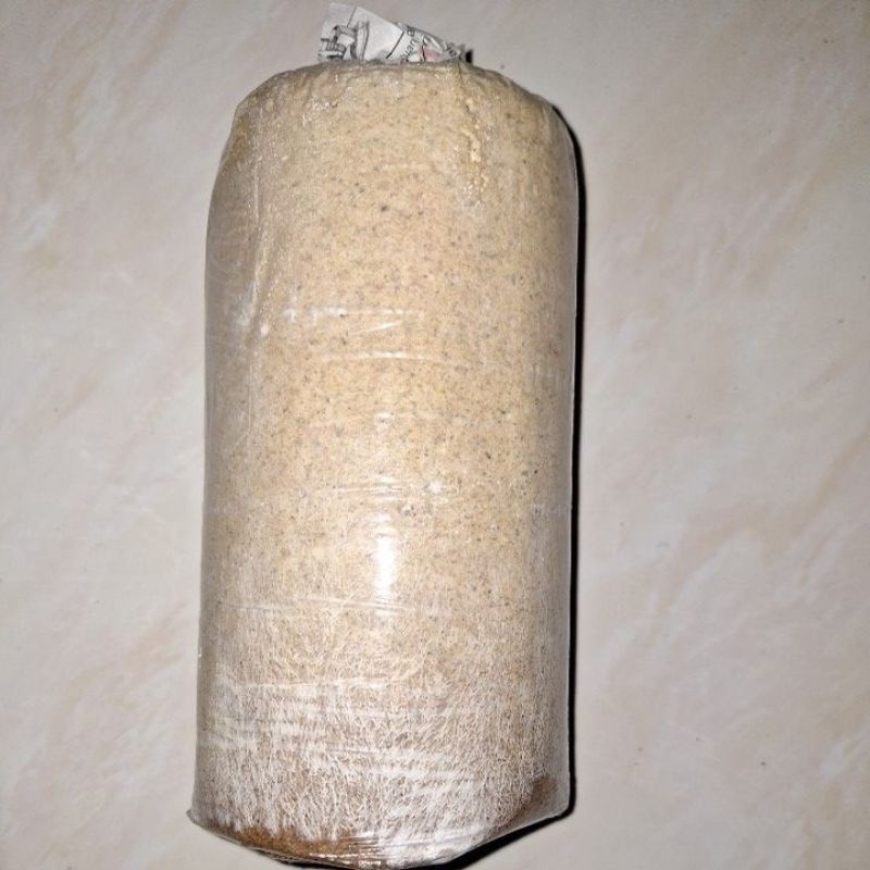 

baglog jamur tiram