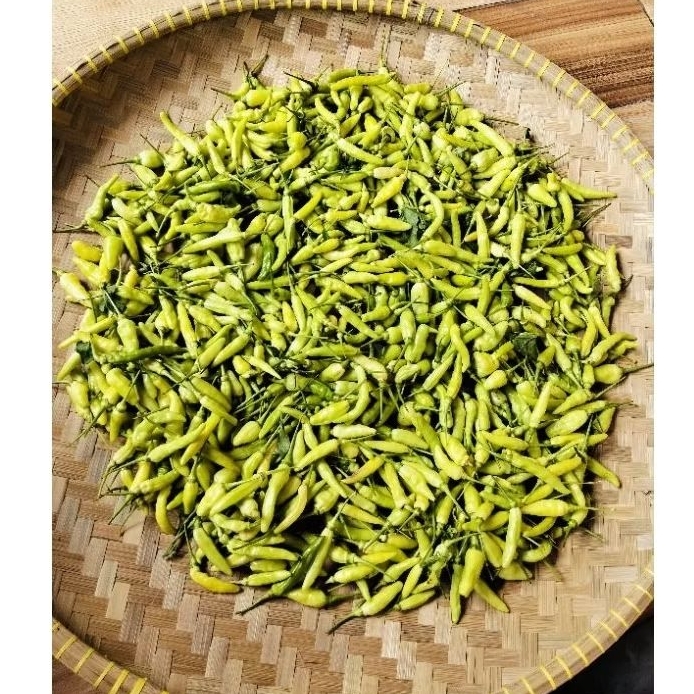 Cabe Rawit 1 KG Cabe Rawit